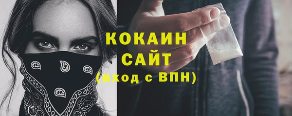 spice Ельня