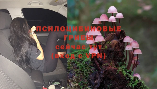 мяу мяу кристалл Щигры
