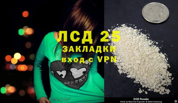 spice Ельня