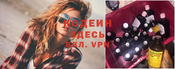 spice Ельня